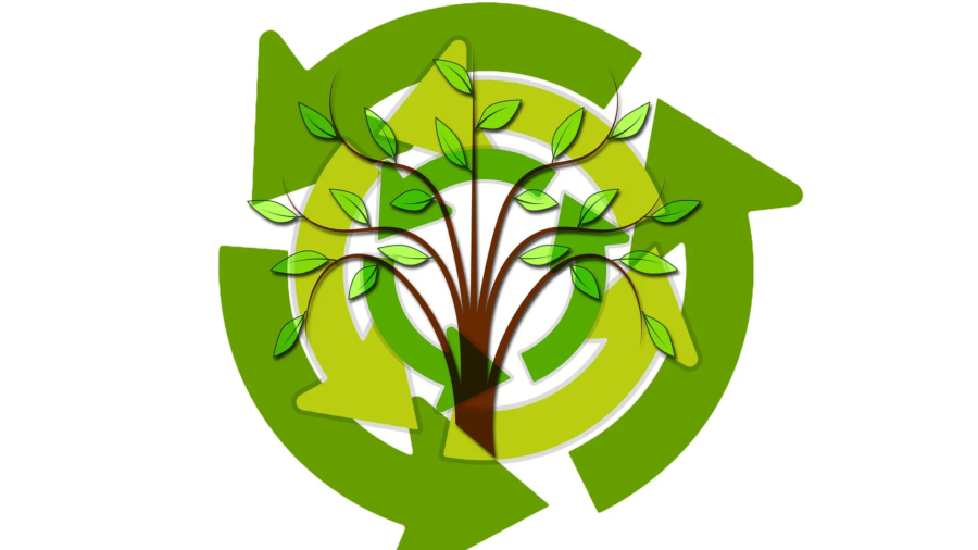 tree-gdd1d8a21d_1920.jpg