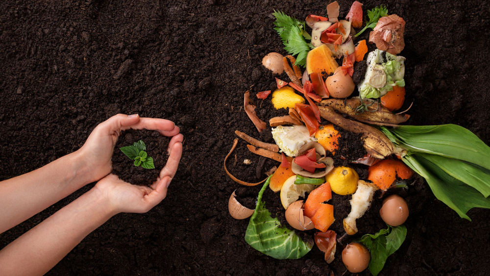 sustentabilidade-assai-compostagem-como-transformar-residuos-em-adubo-banner-01