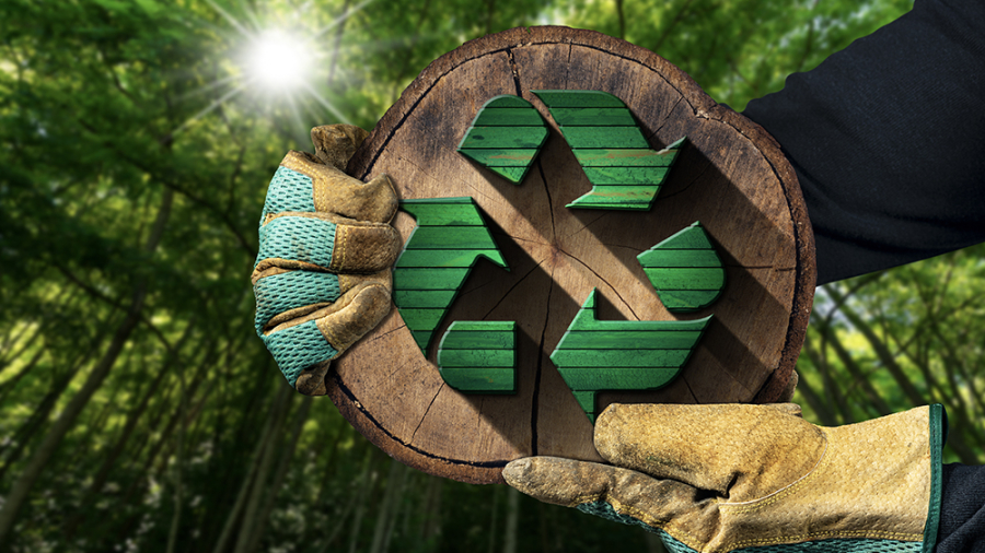 Hands with protective work gloves holding a recycling symbol made of green and brown wood inside of a cross section of a tree trunk. Sustainable Resources concept. Green forest on background.; Shutterstock ID 1940713381; Auftragsnummer : -; Ressort/Abteilung: -; Name Besteller: -