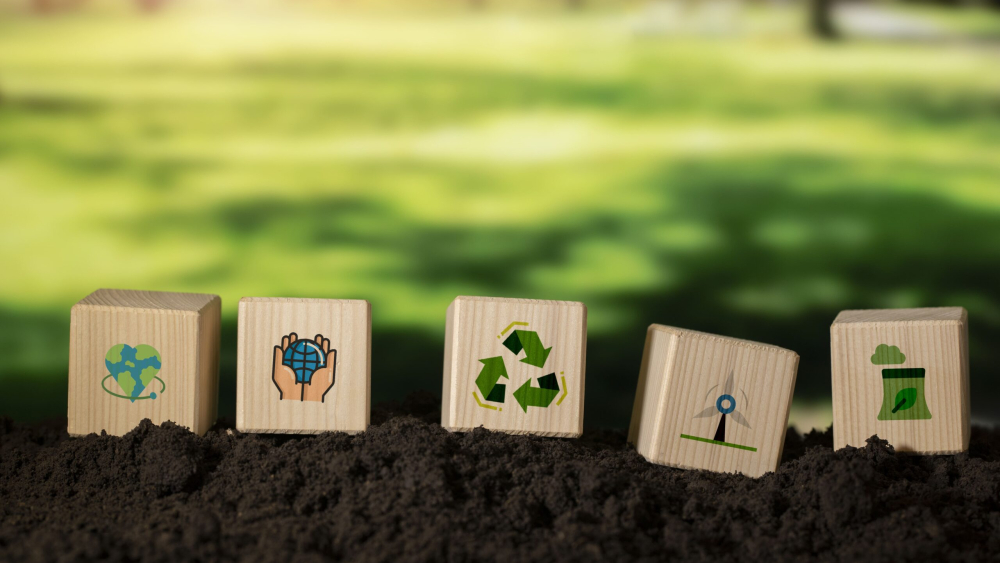 Maneiras-De-Trabalhar-A-Educacao-Ambiental-E-A-Sustentabilidade-Na-Escola-scaled
