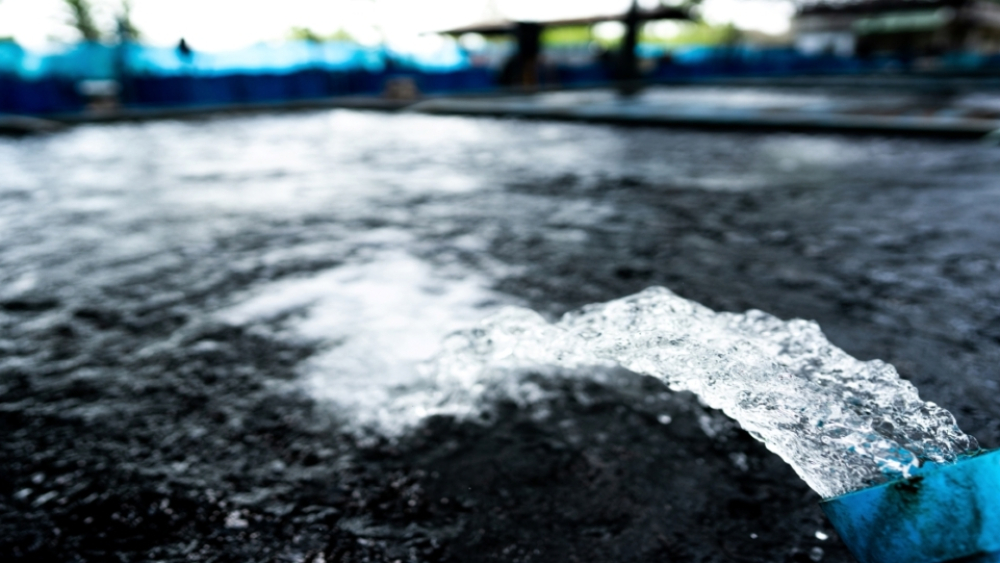 AdobeStock_279006620-red-1030x541