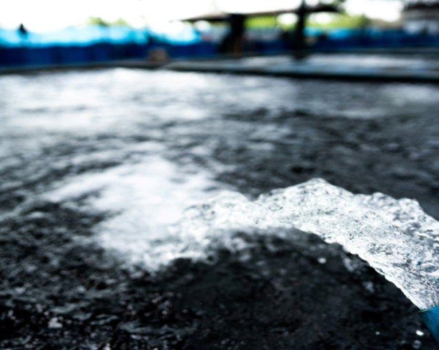 AdobeStock_279006620-red-1030x541